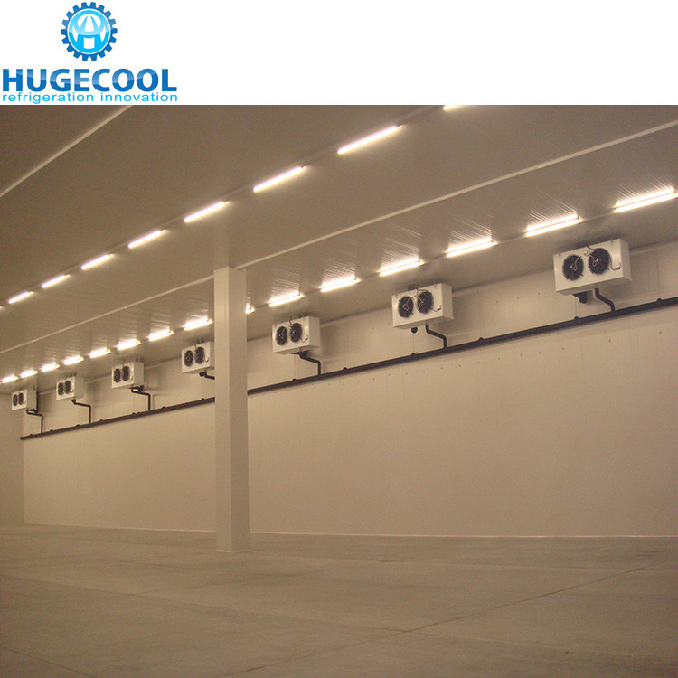 Logistics Cold Storage For Fruit And Vegetable Storage 1400 Tons Large Cold Storage Room Warehouse