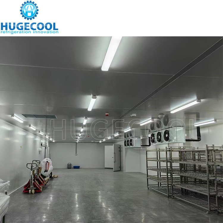 Industrial Logistics Fish Freezer Construction for Frozen Food Seafood Meat Chicken Cold Room