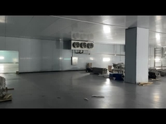 Gefriertes Fleisch Rindfleisch Huhn Meeresfrüchte Kühlraum