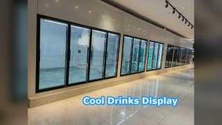 Kühlraum-Ausstellungstüren für Spirituosengeschäfte