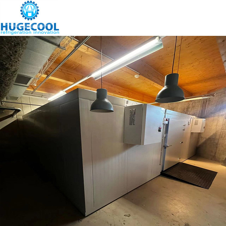 Hugecool  cold room for vegetables walk in cooler box