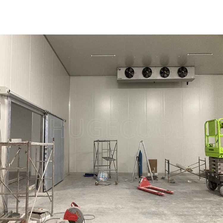 Poultry Meat Chicken Fish Freezer Cold Room Refrigerator Freezer