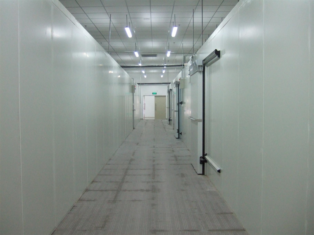 Stainless Steel Cold Room Sliding Door with Round Window and Gas R404A Refrigeration