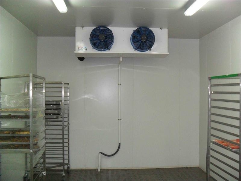 Freon Refrigerant Cold Storage for Fruit Meat Vegetable Assembled Structure