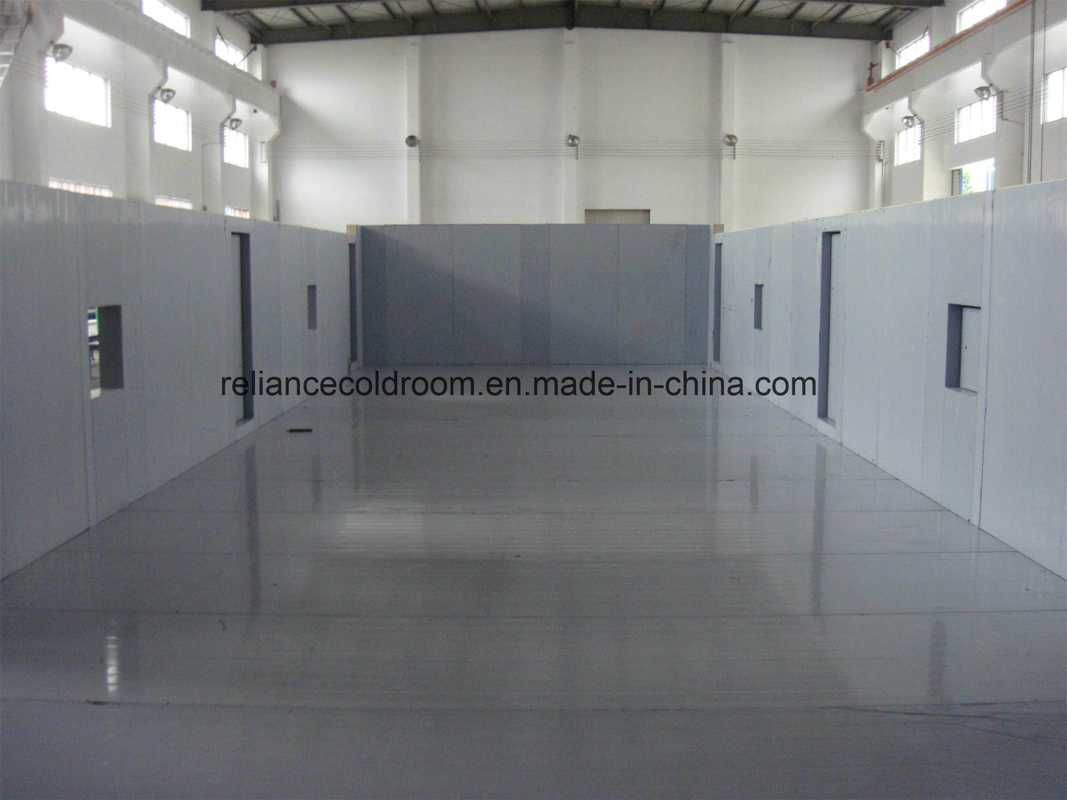 Freon Refrigerant Cold Storage for Fruit Meat Vegetable Assembled Structure