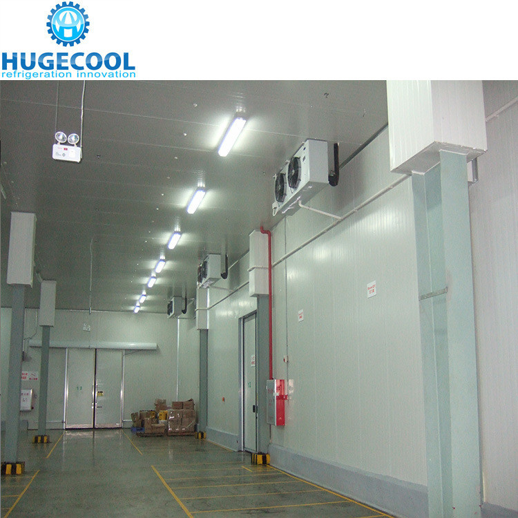 Medium Temperature Controlled Cold Room for Meat Fruit and Vegetable Preservation