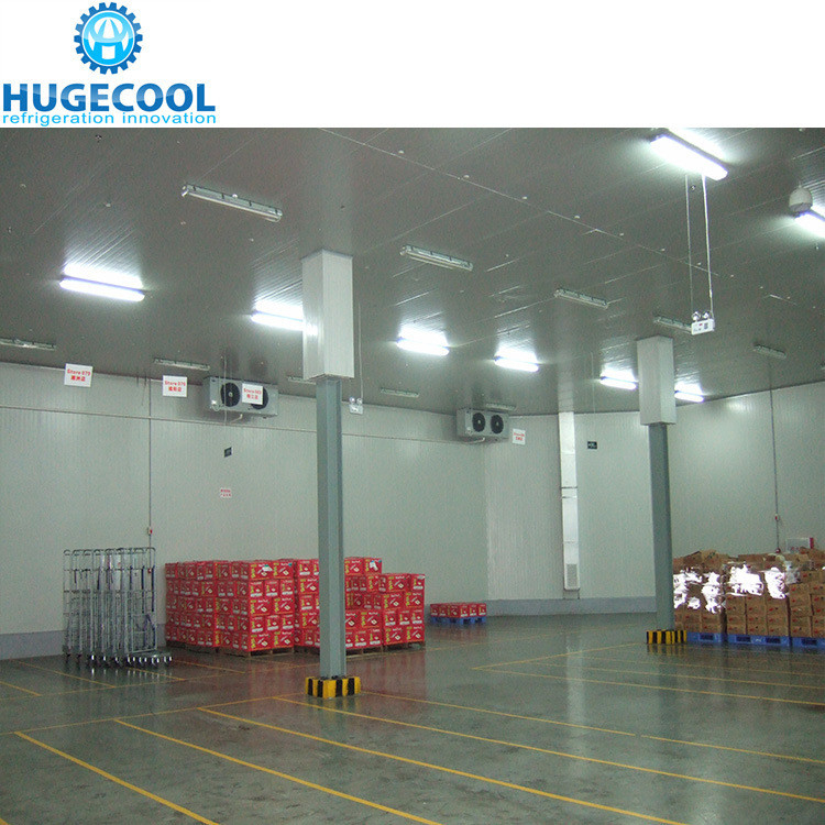 Medium Temperature Controlled Cold Room for Meat Fruit and Vegetable Preservation