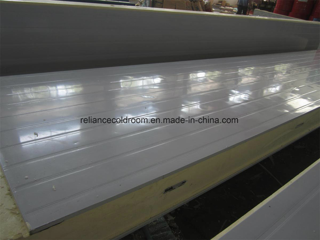 PU10098 Manual Sliding Door for Cold Storage Room Hospital Cold Chain Solution