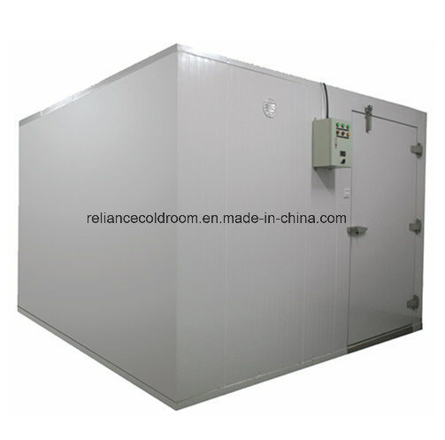 PU10098 Manual Sliding Door for Cold Storage Room Hospital Cold Chain Solution