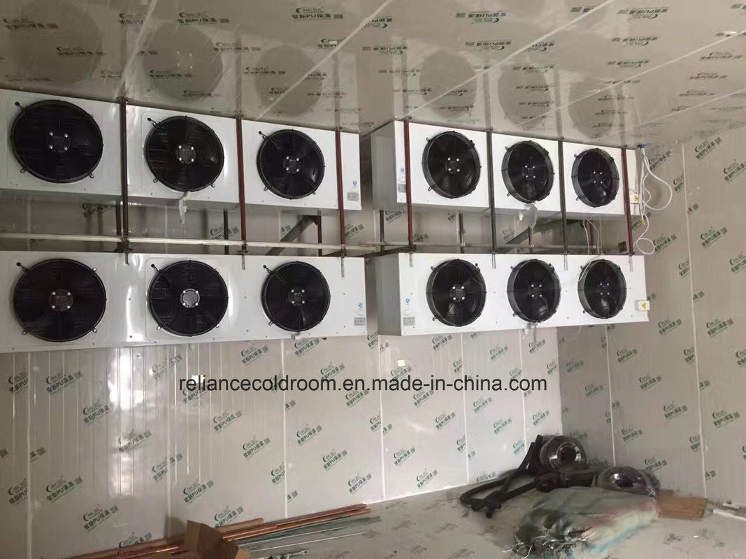 Customized Fast Cooling Chiller and Freezer Room for All Life After-sales Service