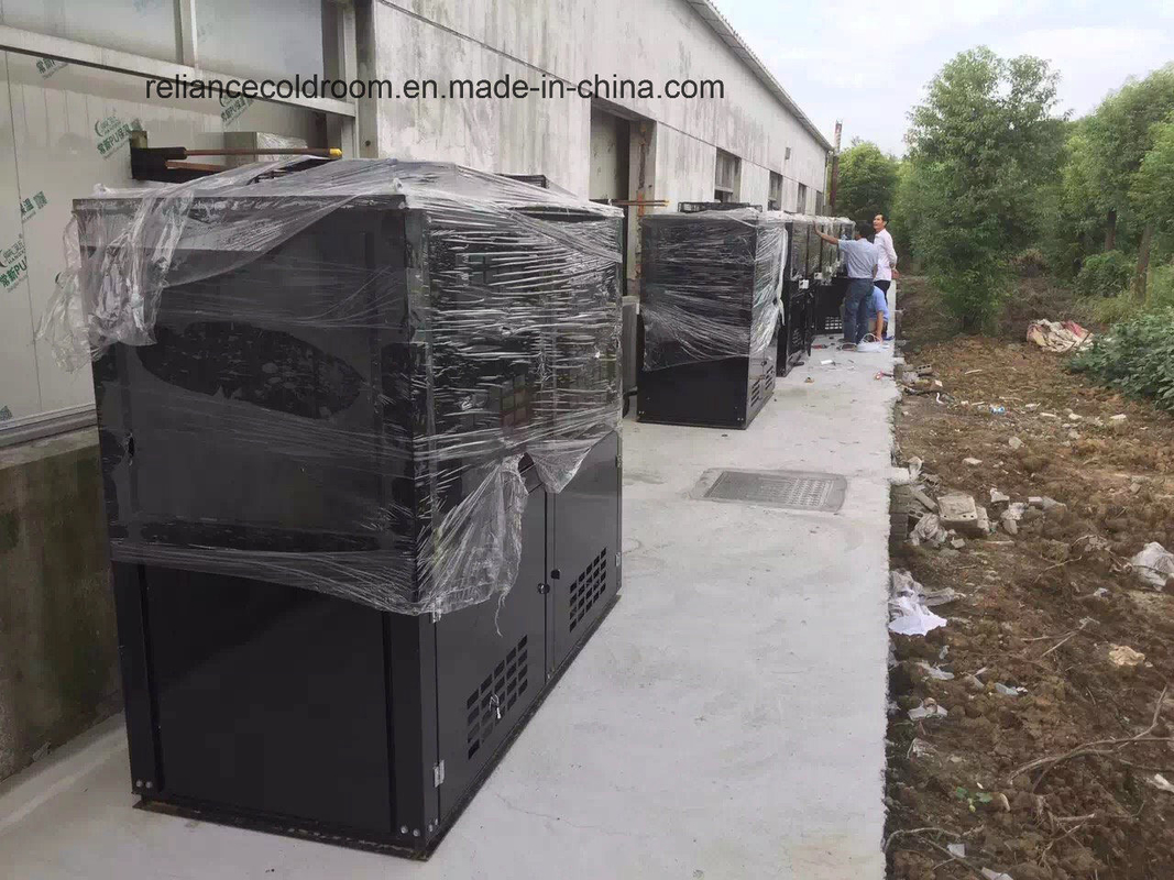 Customized Fast Cooling Chiller and Freezer Room for All Life After-sales Service