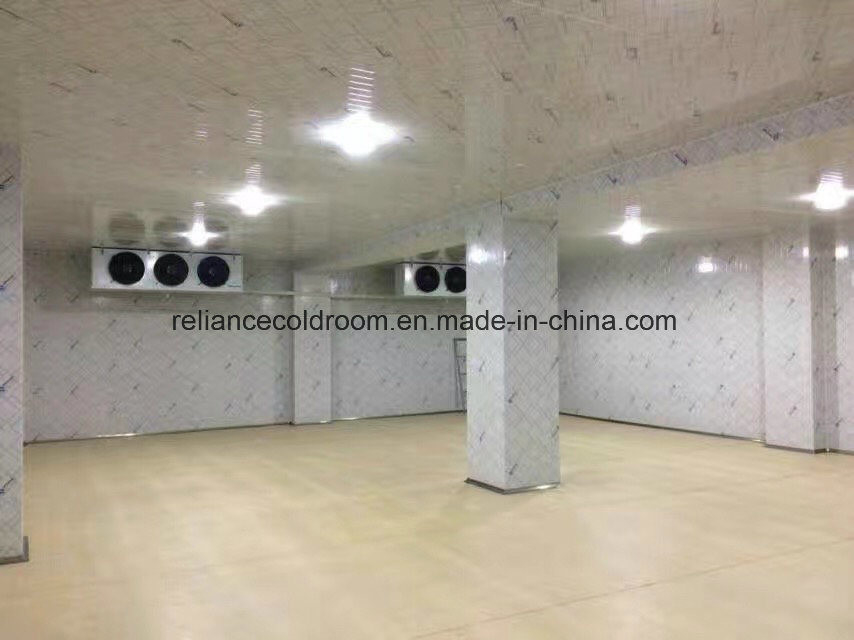 Customized Fast Cooling Chiller and Freezer Room for All Life After-sales Service