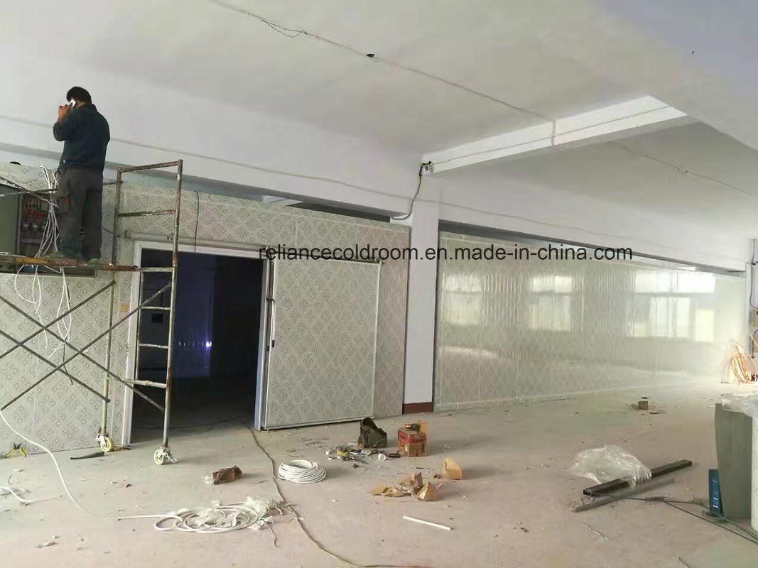 Customized Fast Cooling Chiller and Freezer Room for All Life After-sales Service