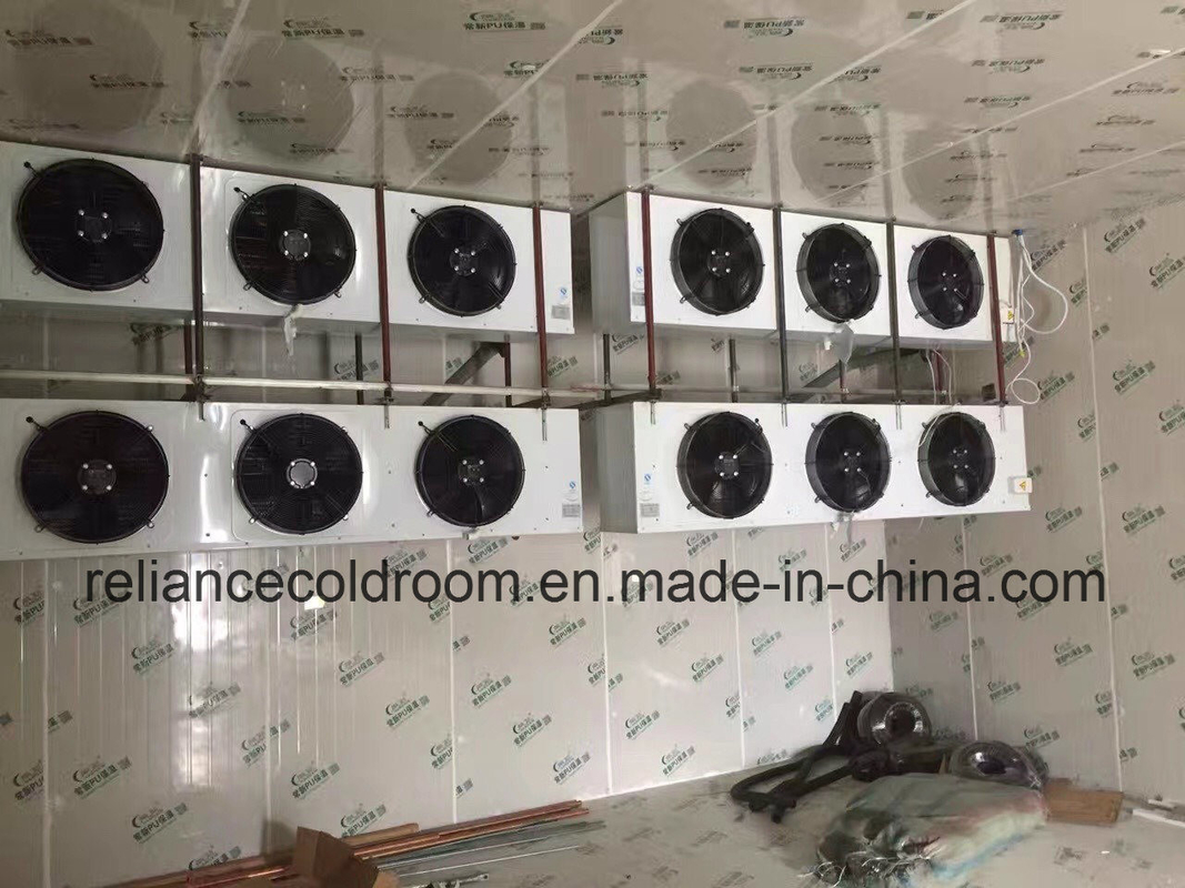 Reliance Walk in Freezer Room -20c to -30c with Direct Cooling Technology