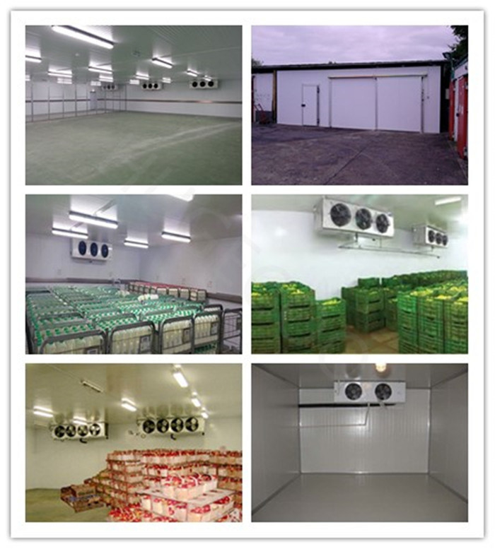 10 Cold Storage Room for Fruits Vegetables Meat Fishes Water Cooled and Return refunds