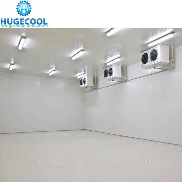 Medium 10 Cold Storage Room for Meat Chicken Fishes Vegetables Fruits Suitable