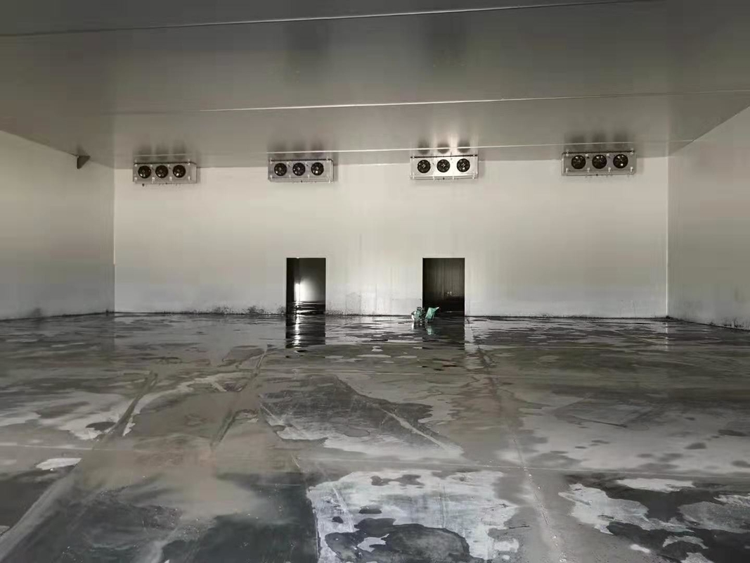 Medium 10 Cold Storage Room for Meat Chicken Fishes Vegetables Fruits Suitable