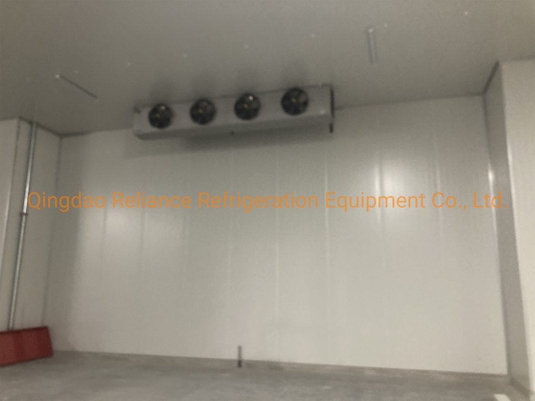 Medicine Storage Industrial Cold Room with Assembled Structure and CE Condensing Unit