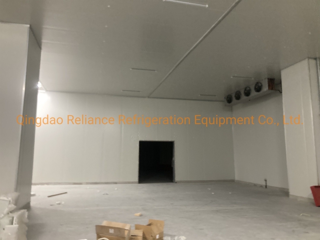 Medicine Storage Industrial Cold Room with Assembled Structure and CE Condensing Unit