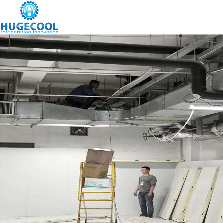 Production Nature Fruit Vegetable Cold Room Quick Cooling Cooled Condensing Unit R404A