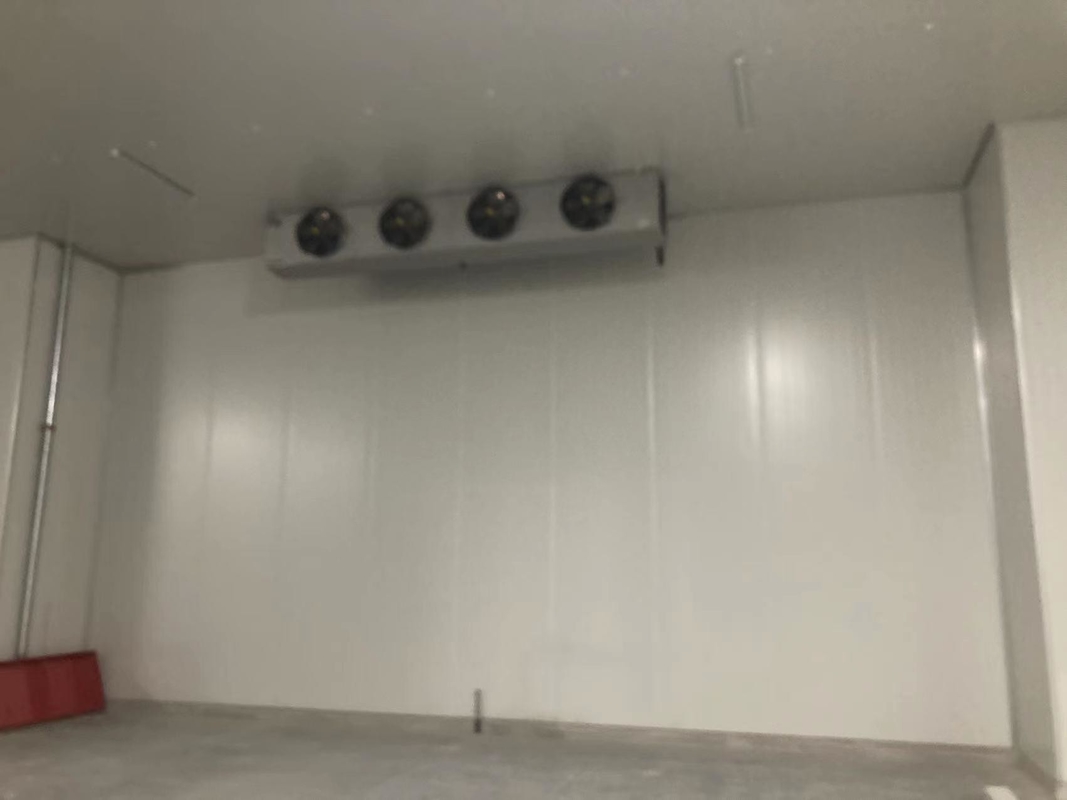 Fireproof Insulation PU/PIR Sandwich Panel for Cold Room/Warehouse/Workshop Home Using
