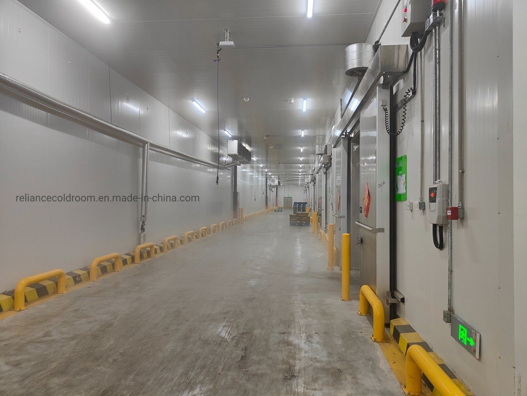 Medicine Storage Freezer Easy Assembling Cold Freezer Storages for Your Requirements