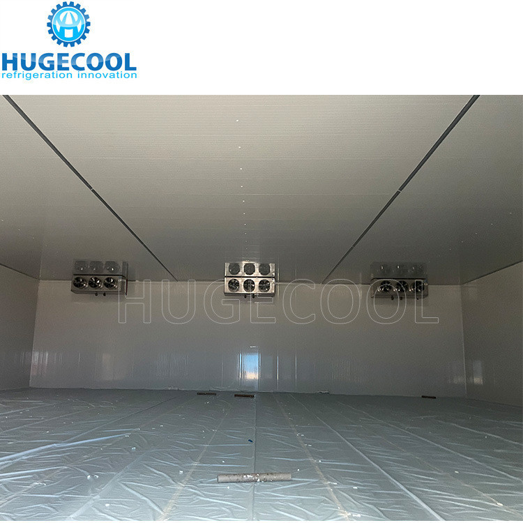Temperature -10-0C Polyurethane Sandwich Panel Cold Storage with Freon Refrigerant