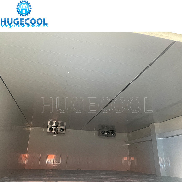 Freezer Room Cold Storage for Slaughter House that Meets Customer Requirements