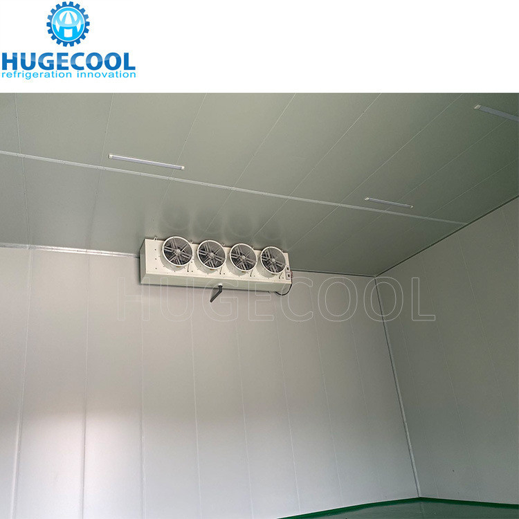 Walk in Chiller Cold Storage Cold Room with PIR PUR Panel and 200mm Thickness PU Panel