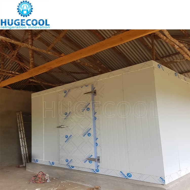 Structure Assembled Industrial Cold Room Freezer Box Sliding Door for Cooler Room 2*3m