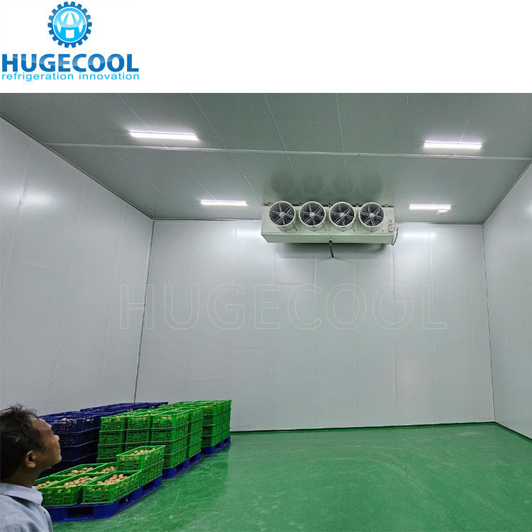 PU Sandwich Panel Cold Room Storage Refrigerator Freezer For Vegetable And Fruit